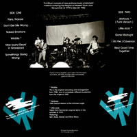Wasted Youth - The beginning of the end back cover